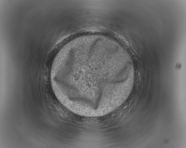 X0000096421158200802211117