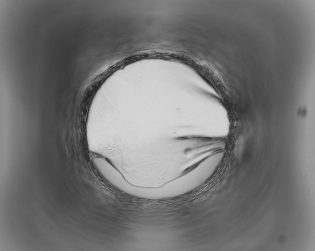 X0000096421159200802211117