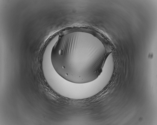 X0000096421160200802211117