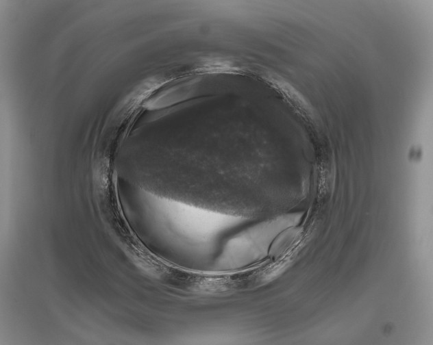 X0000096421161200802211117