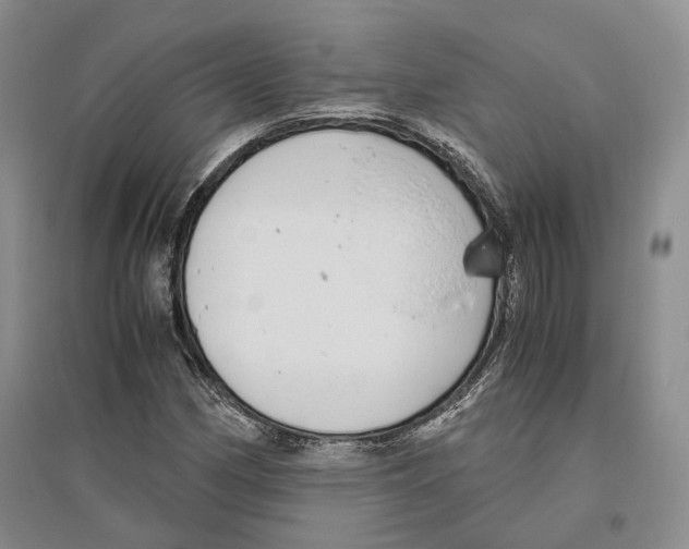X0000096421162200802211117