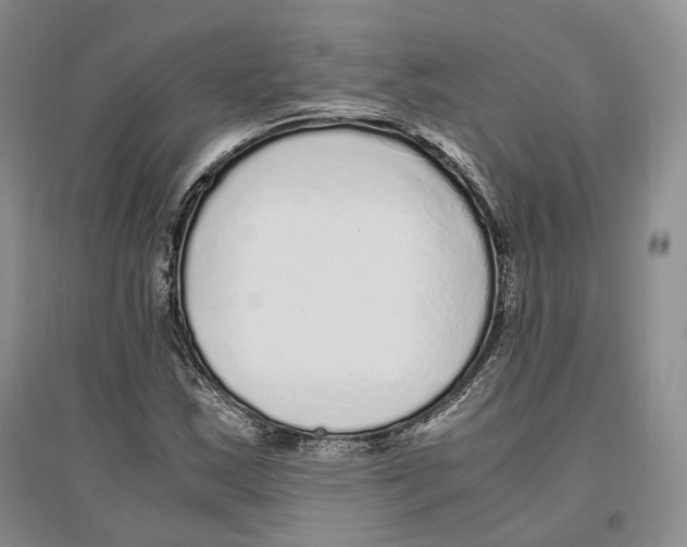 X0000096421163200802211117