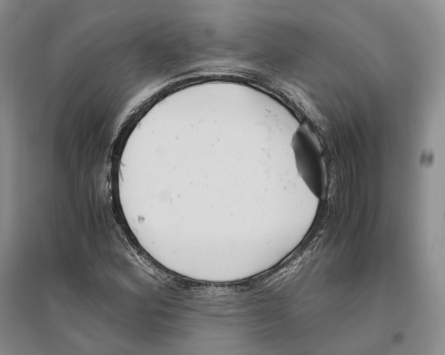 X0000096421164200802211117