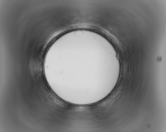 X0000096421166200802211117