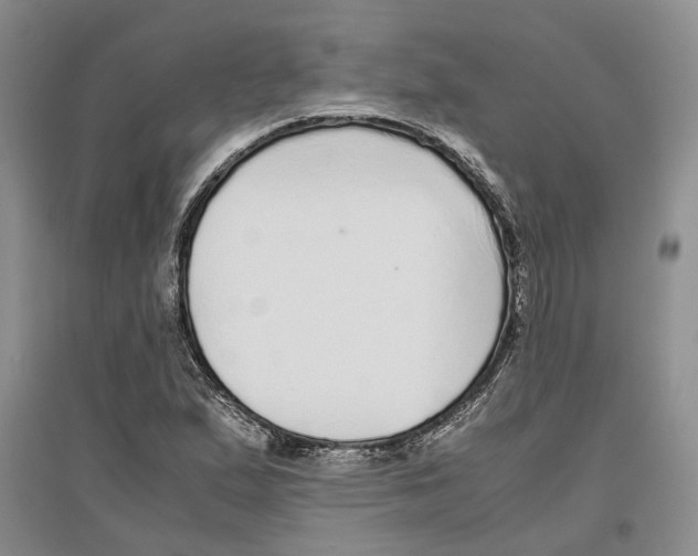 X0000096421167200802211117