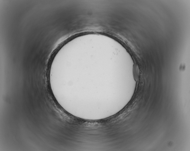 X0000096421168200802211117