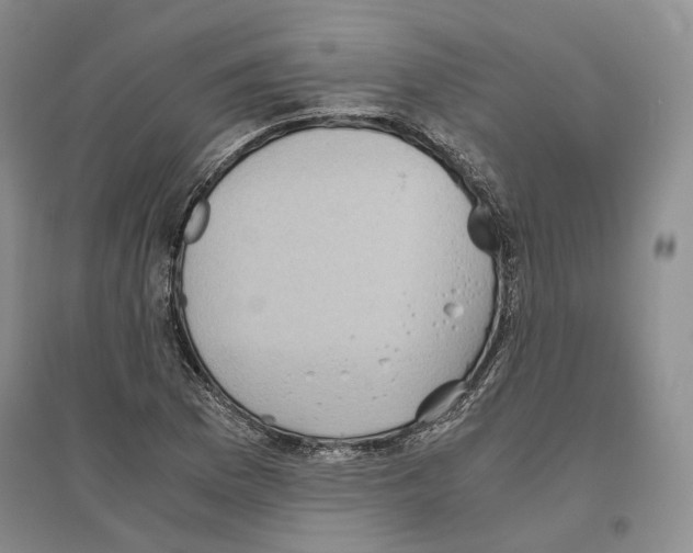 X0000096421169200802211117