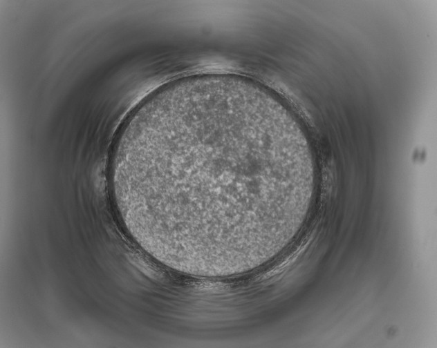 X0000096421170200802211117