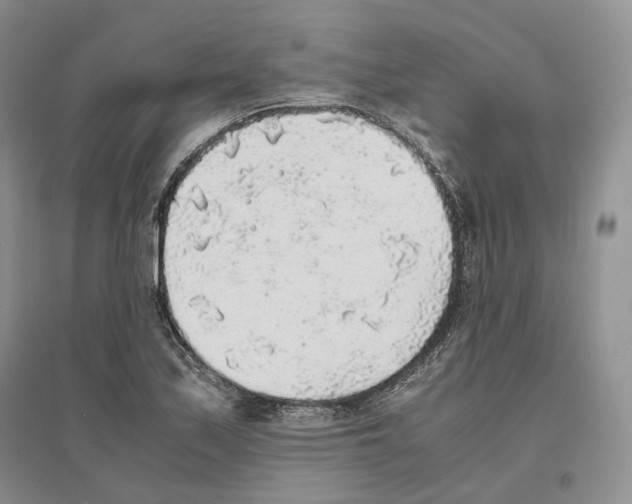 X0000096421171200802211117