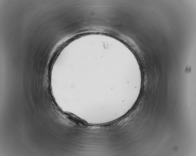 X0000096421172200802211117