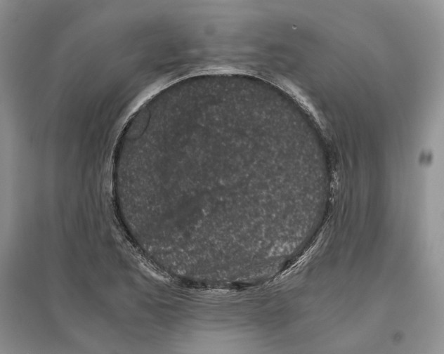 X0000096421173200802211117