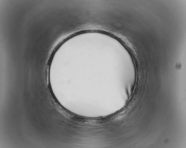 X0000096421175200802211117