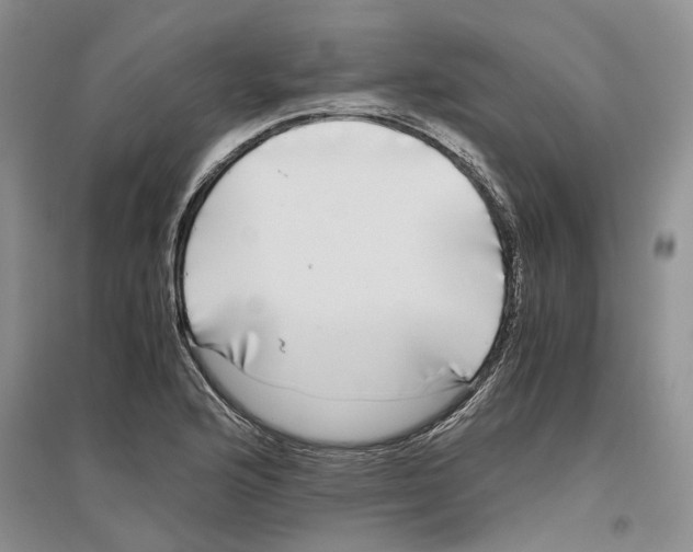X0000096421176200802211117