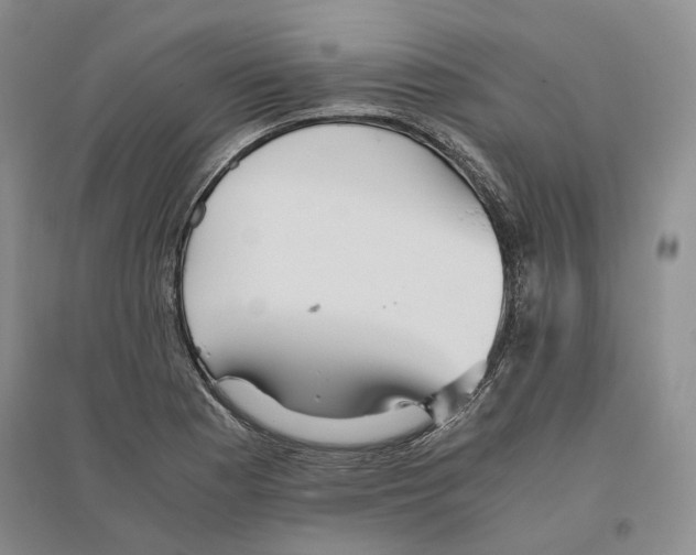 X0000096421177200802211117