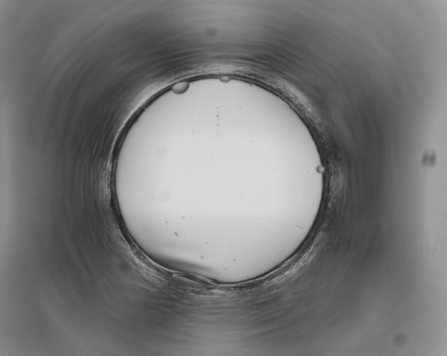 X0000096421178200802211117