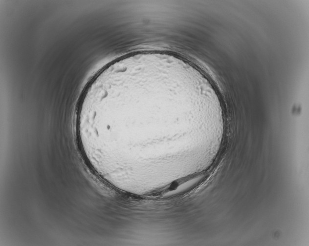 X0000096421179200802211117