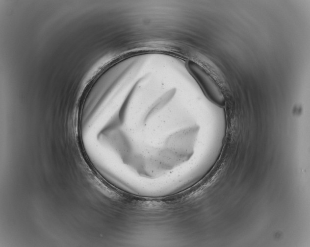 X0000096421180200802211117