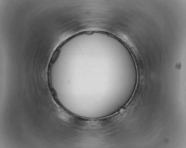 X0000096421181200802211117