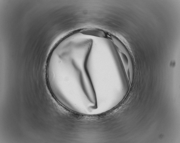 X0000096421183200802211117