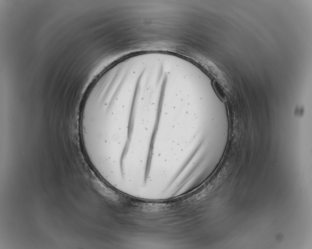 X0000096421184200802211117