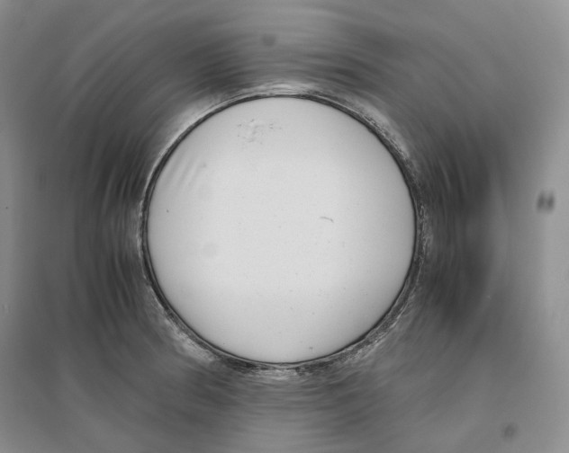 X0000096421186200802211117