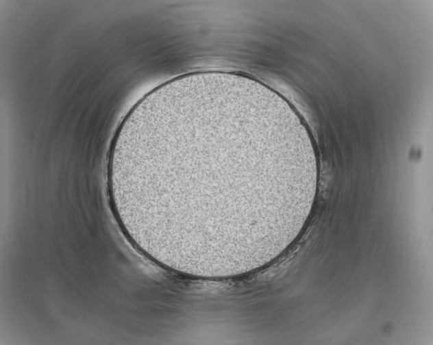 X0000096421187200802211117