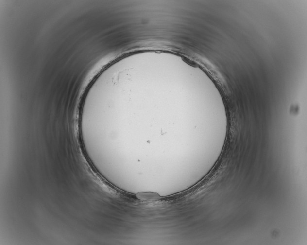 X0000096421188200802211117