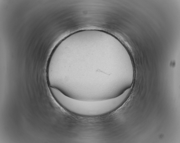 X0000096421189200802211117