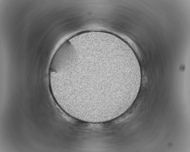 X0000096421191200802211117