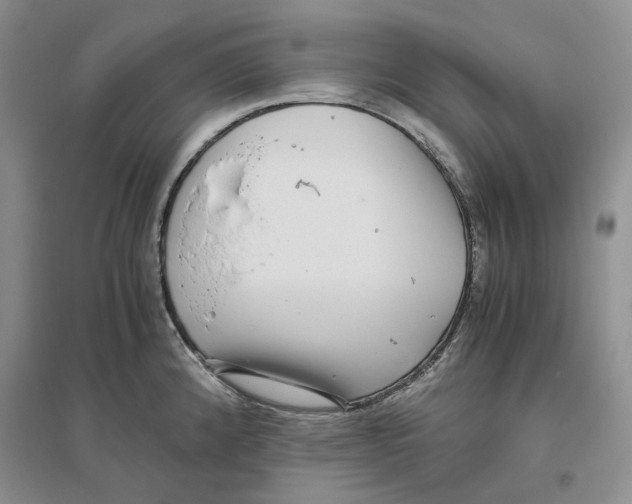 X0000096421192200802211117