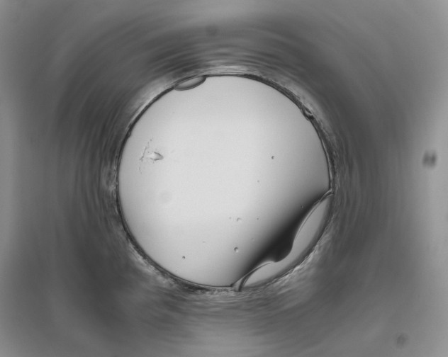X0000096421193200802211116