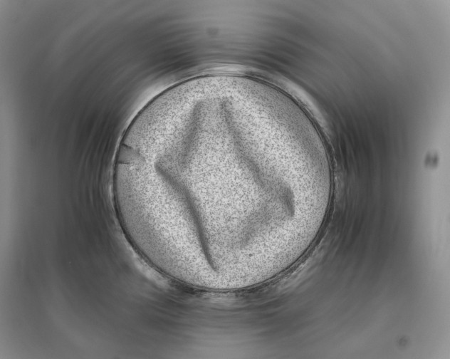 X0000096421194200802211116