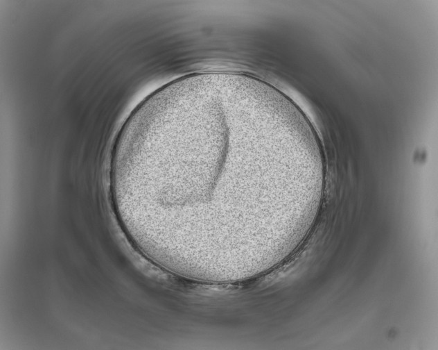 X0000096421195200802211116