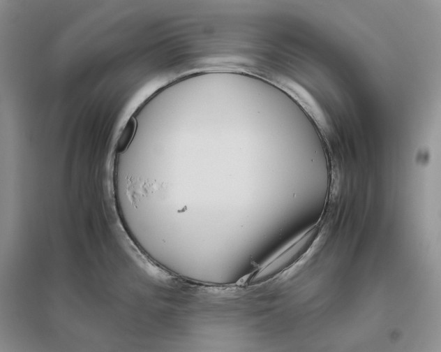 X0000096421196200802211116