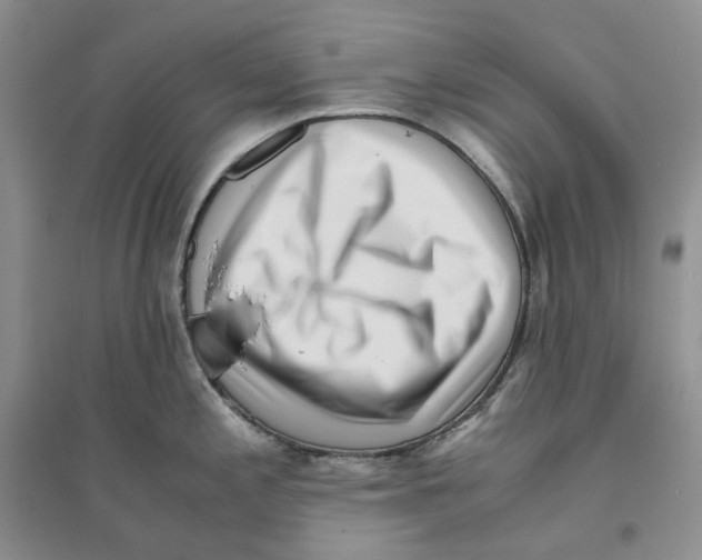 X0000096421197200802211116