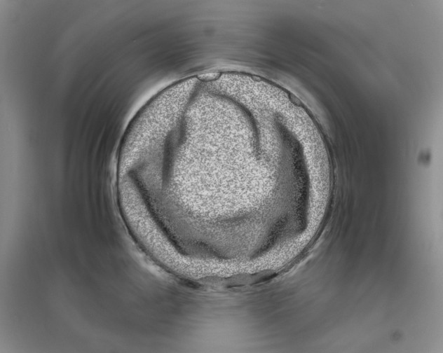 X0000096421198200802211116