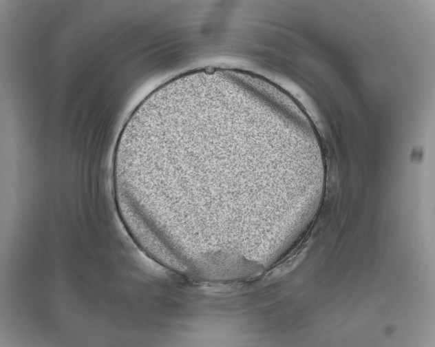 X0000096421199200802211116