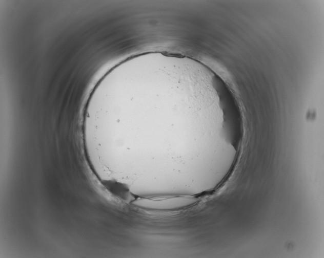 X0000096421200200802211116