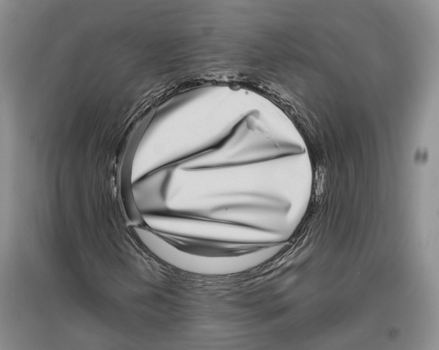 X0000096421202200802211116