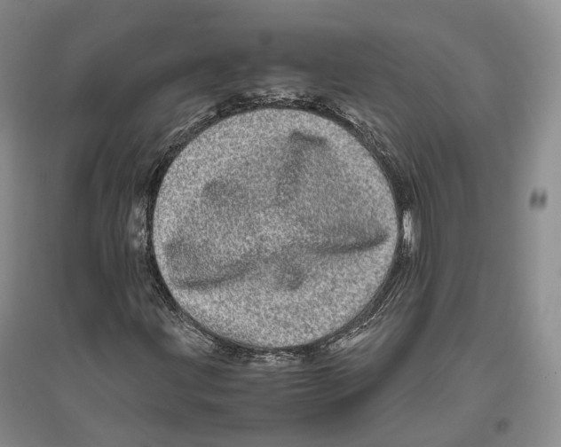 X0000096421203200802211116
