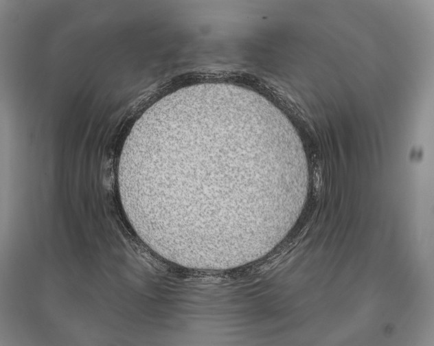 X0000096421204200802211116