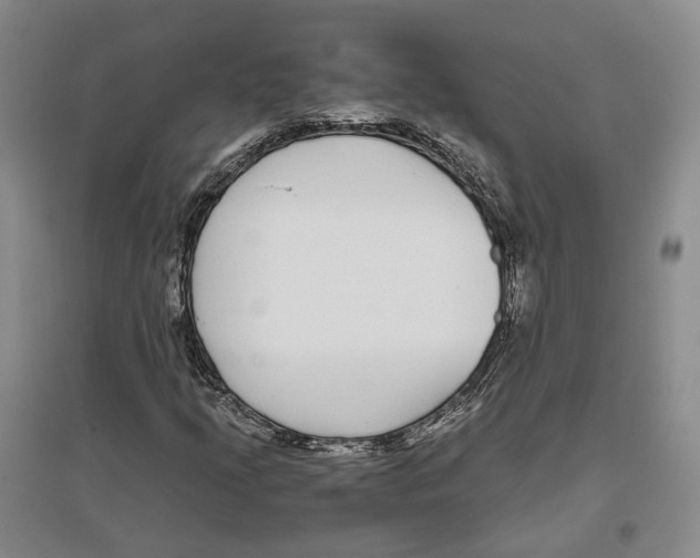 X0000096421205200802211116