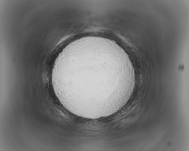 X0000096421206200802211116