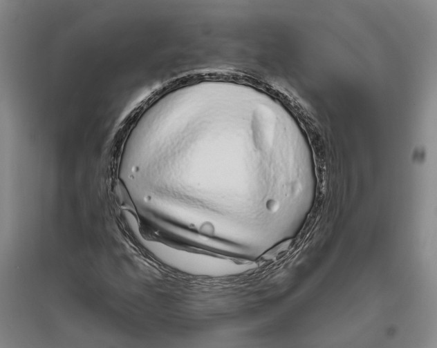 X0000096421208200802211116