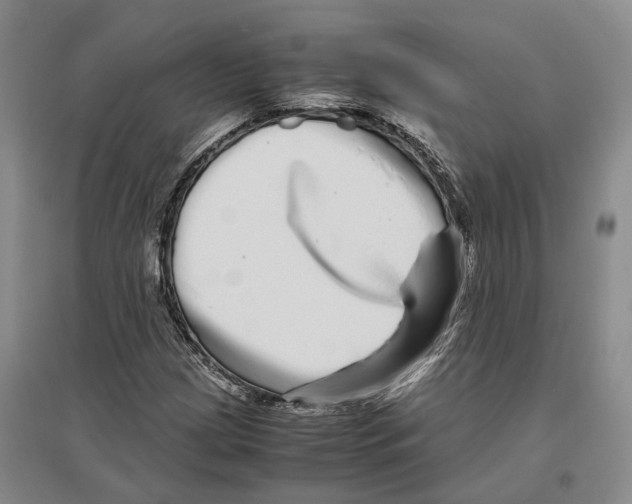 X0000096421209200802211116