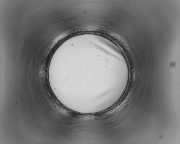 X0000096421210200802211116
