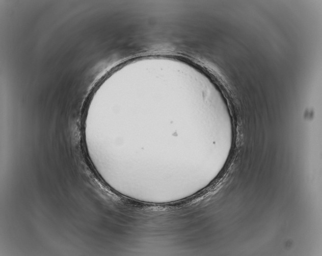 X0000096421212200802211116