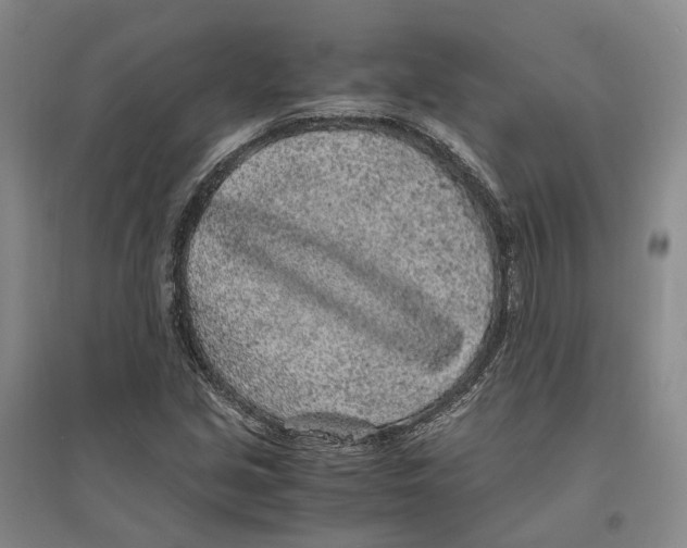 X0000096421213200802211116