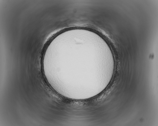X0000096421214200802211116
