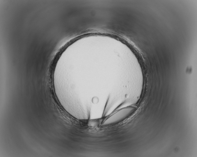 X0000096421215200802211116